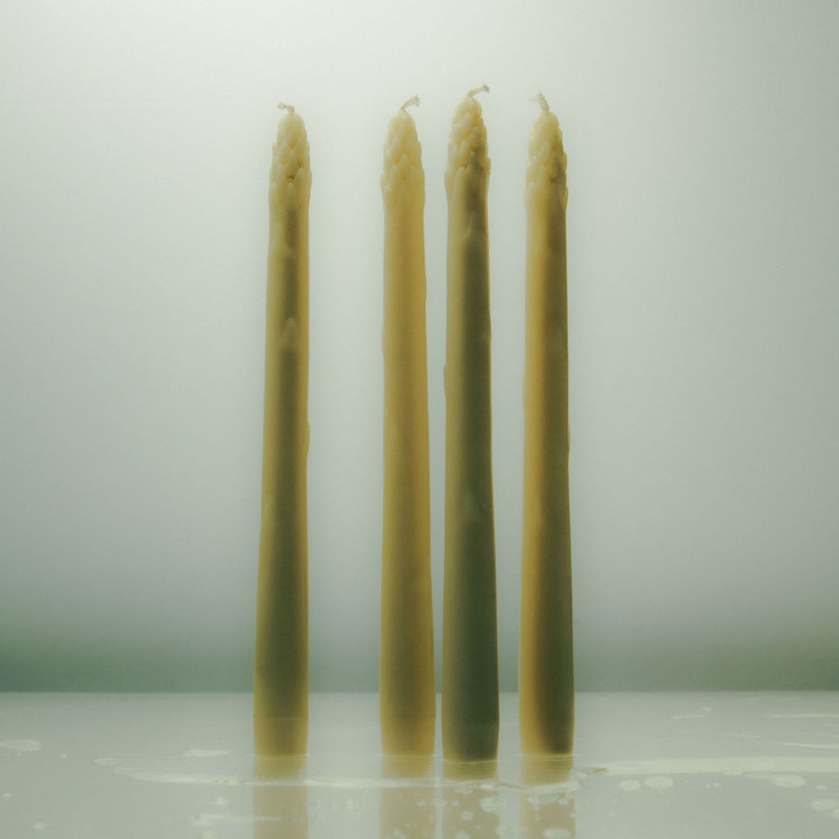 The Asparagus Bunch | Ivory