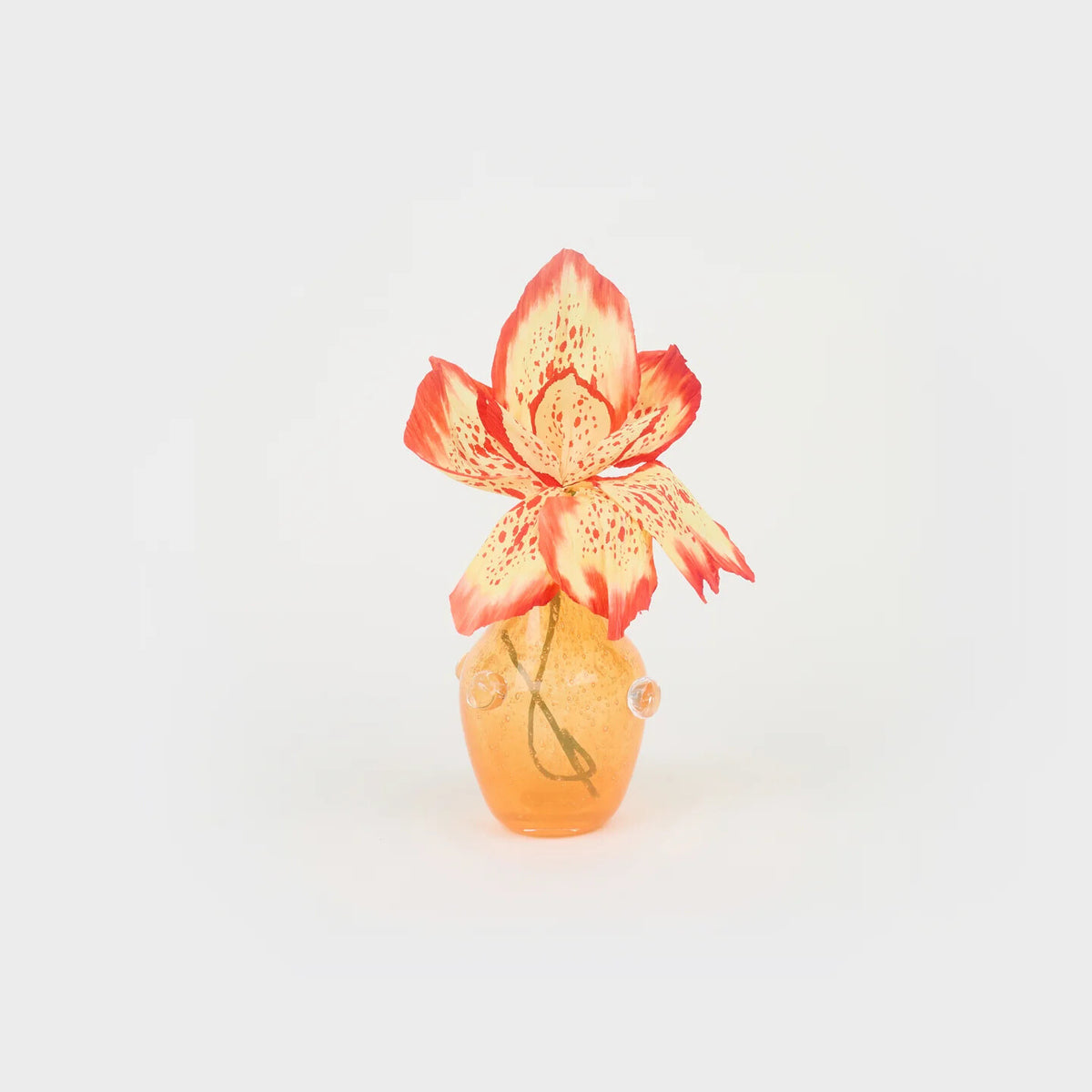 Le Petit Vase Paquerette | Orange, Clear