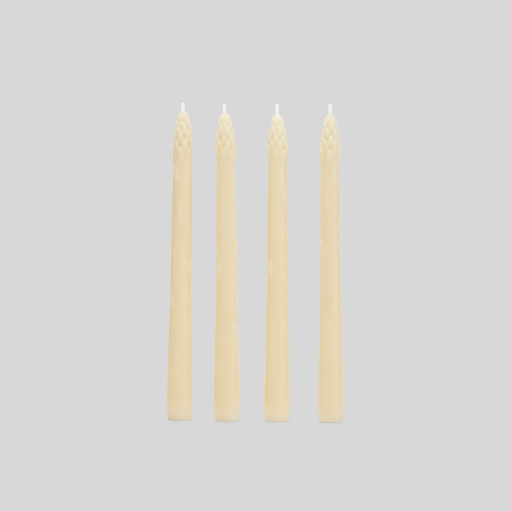 The Asparagus Bunch | Ivory