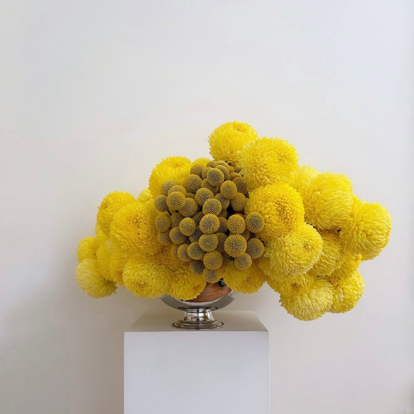 Dr Lisa Cooper Artwork - Maison Balzac